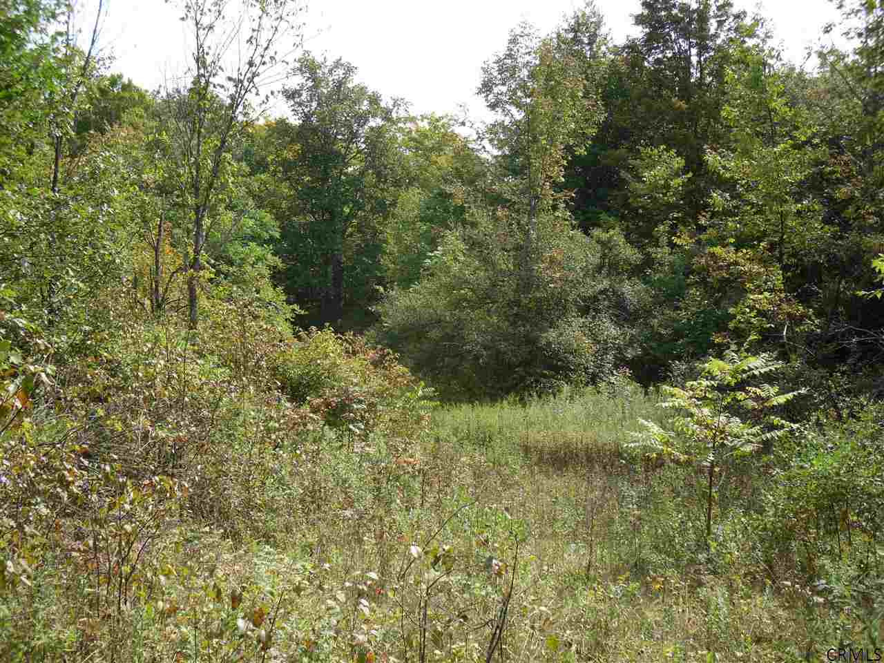 Goewey Road Fultonville, NY 12072 - Photo 22 of 24 Photo 22