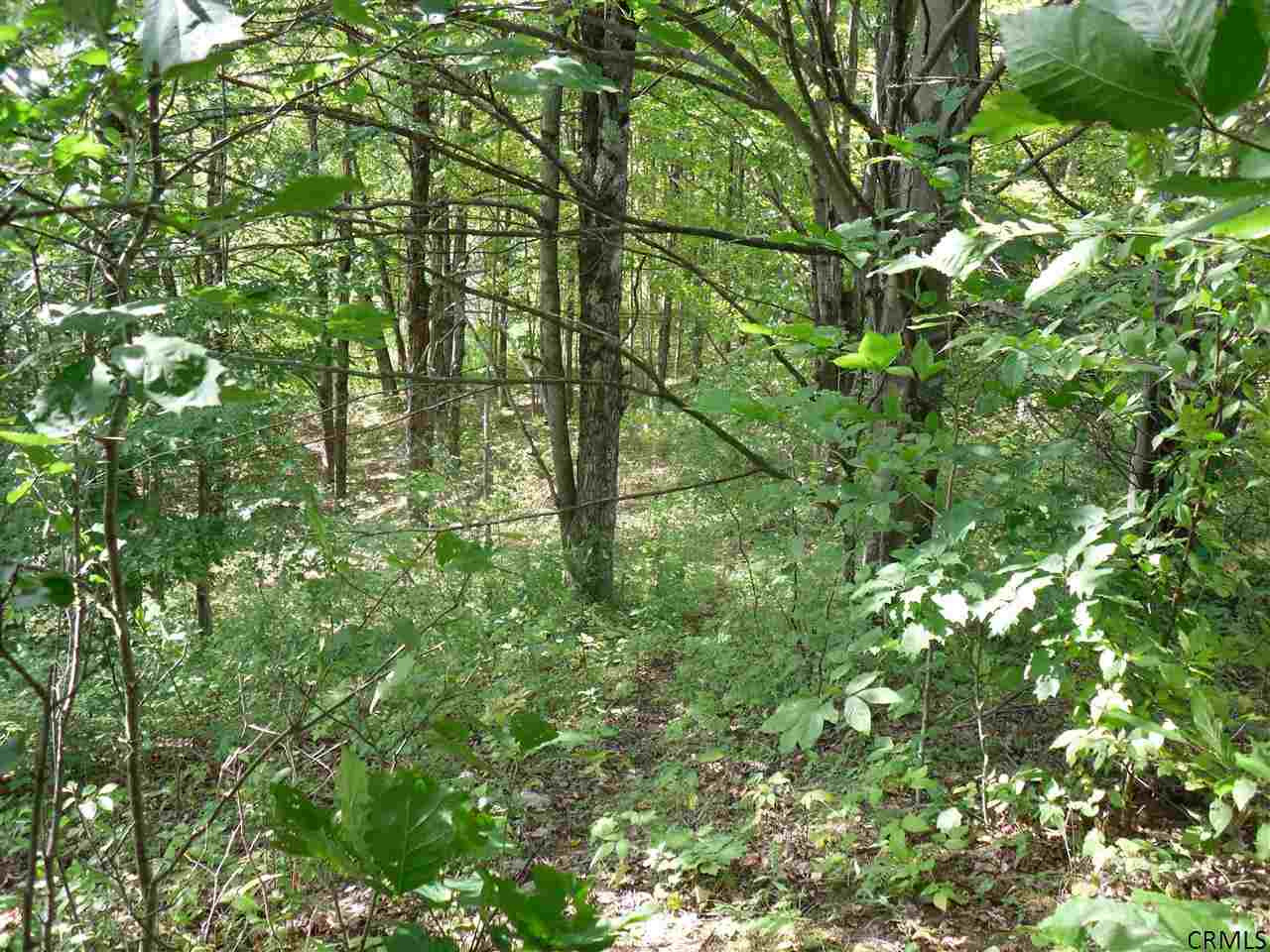Goewey Road Fultonville, NY 12072 - Photo 23 of 24 Photo 23