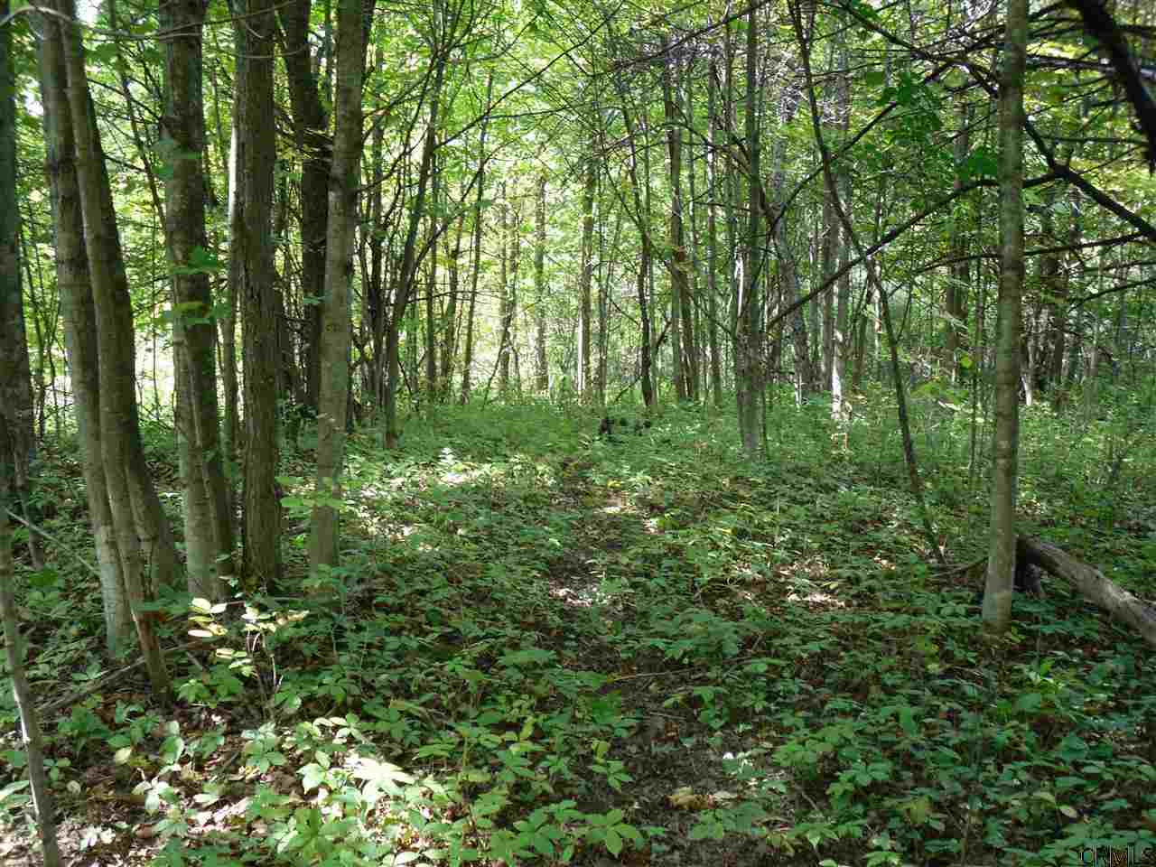 Goewey Road Fultonville, NY 12072 - Photo 24 of 24 Photo 24
