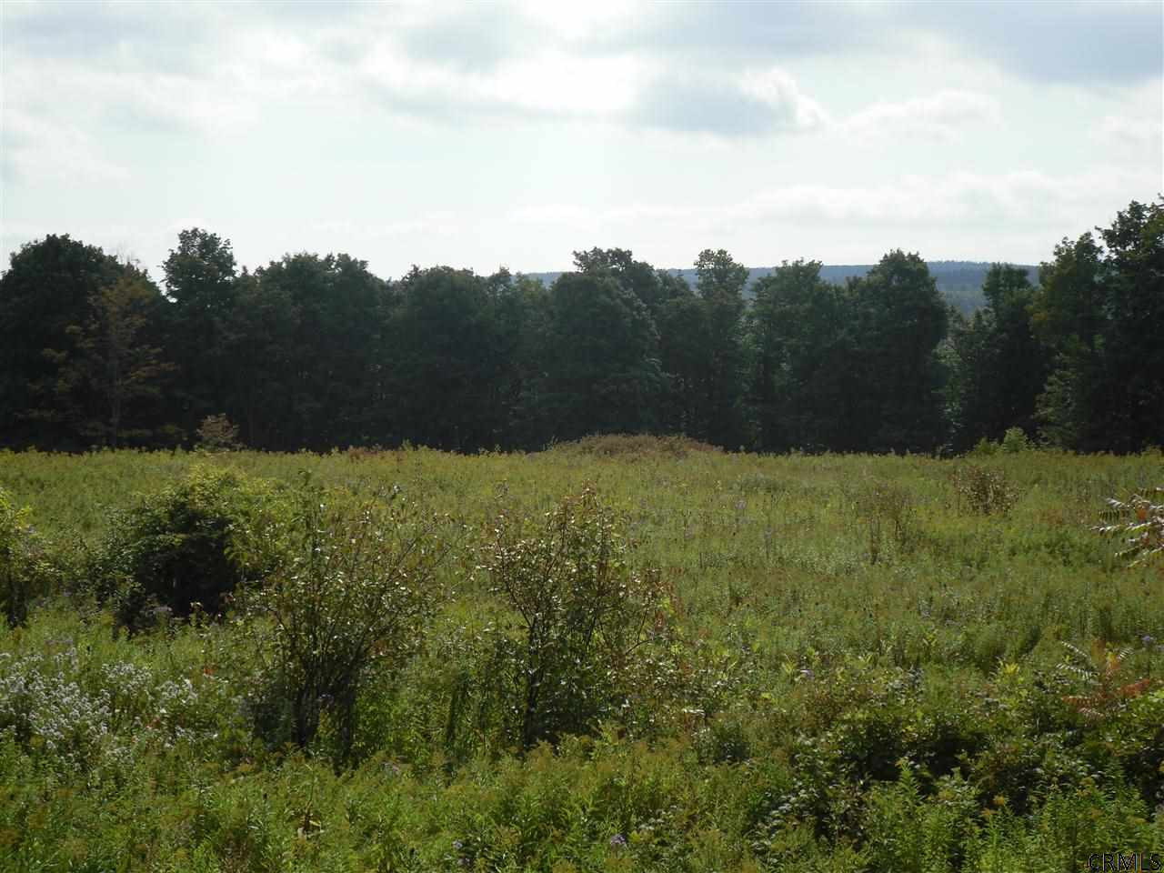 Goewey Road Fultonville, NY 12072 - Photo 3 of 24 Photo 3