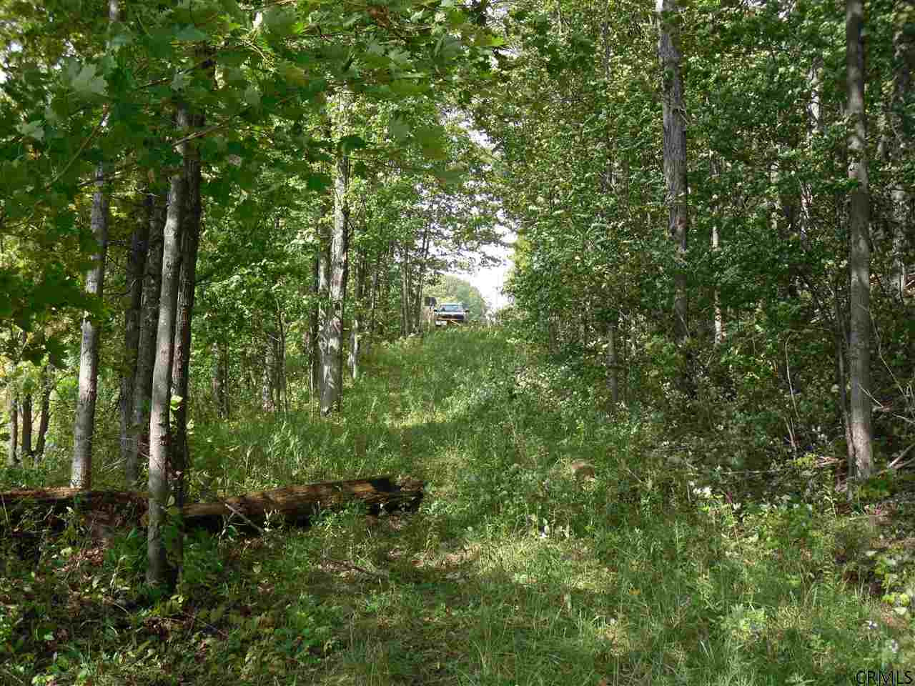 Goewey Road Fultonville, NY 12072 - Photo 4 of 24 Photo 4