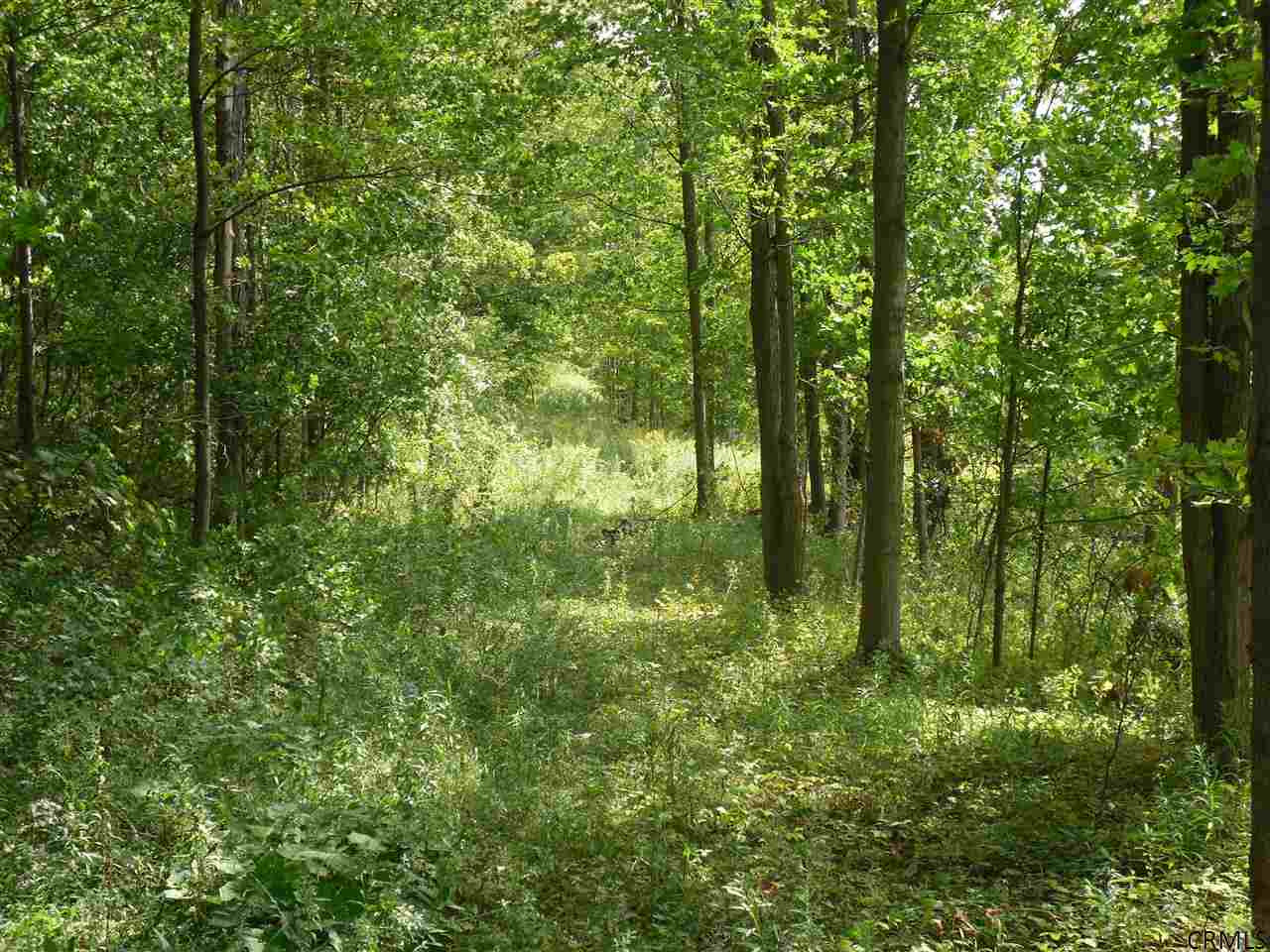 Goewey Road Fultonville, NY 12072 - Photo 5 of 24 Photo 5