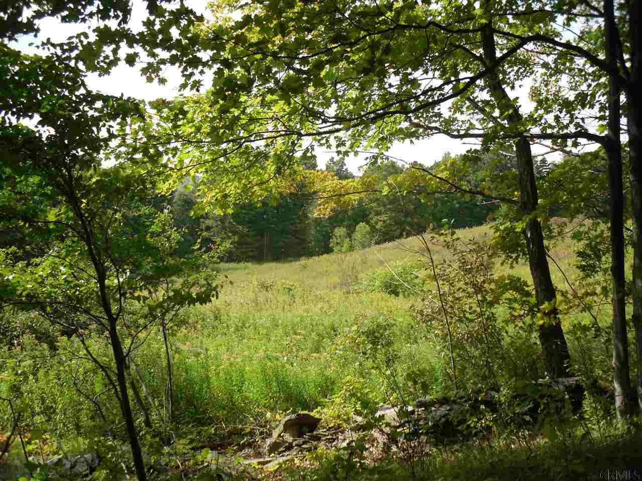 Goewey Road Fultonville, NY 12072 - Photo 6 of 24 Photo 6