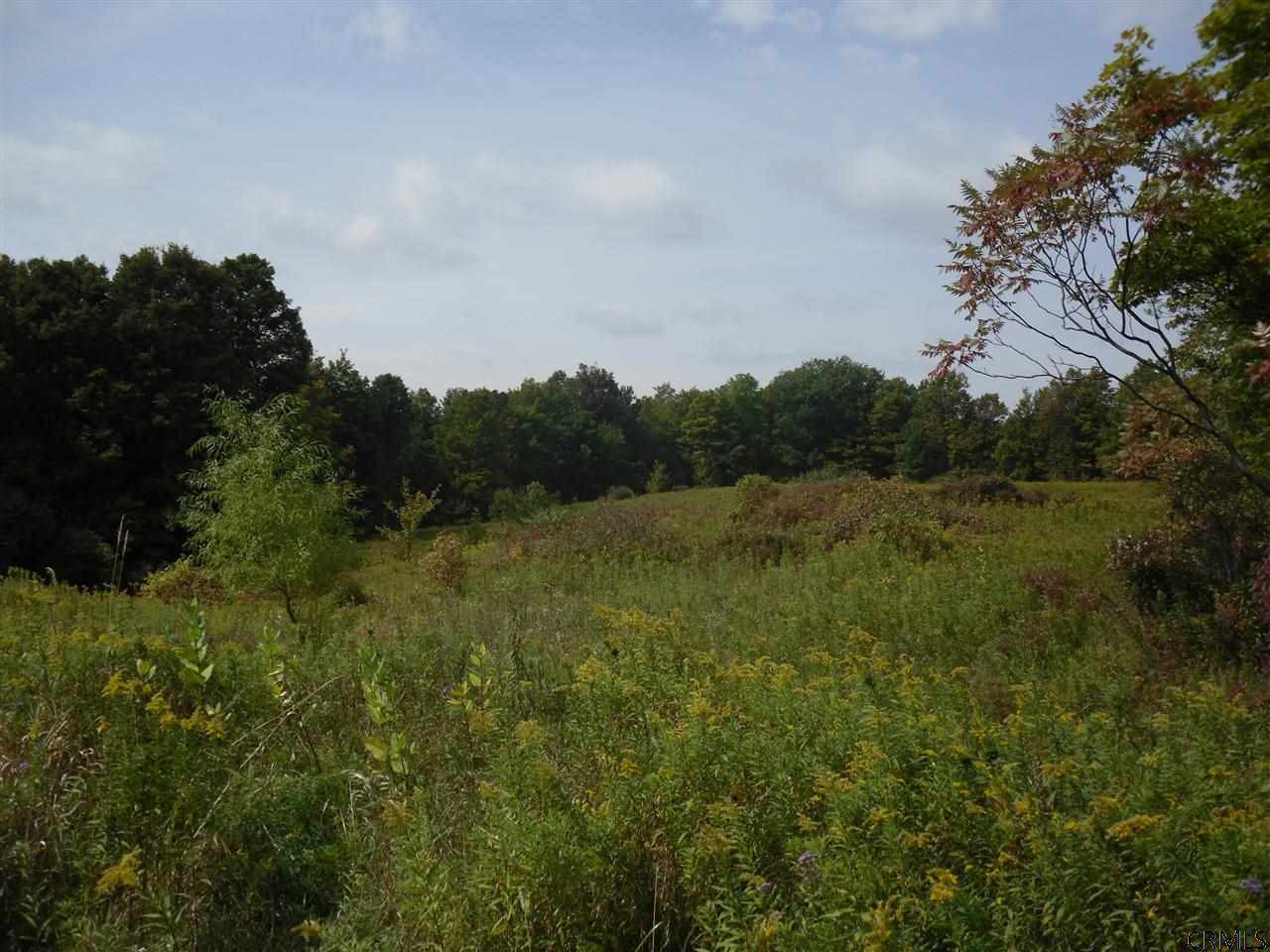 Goewey Road Fultonville, NY 12072 - Photo 8 of 24 Photo 8