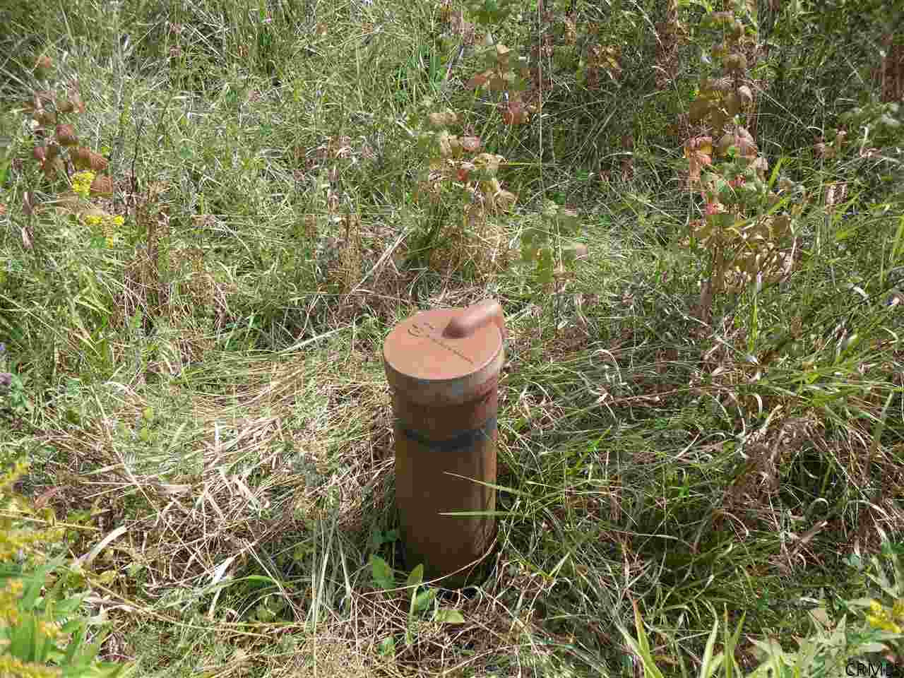 Goewey Road Fultonville, NY 12072 - Photo 10 of 24 Photo 10