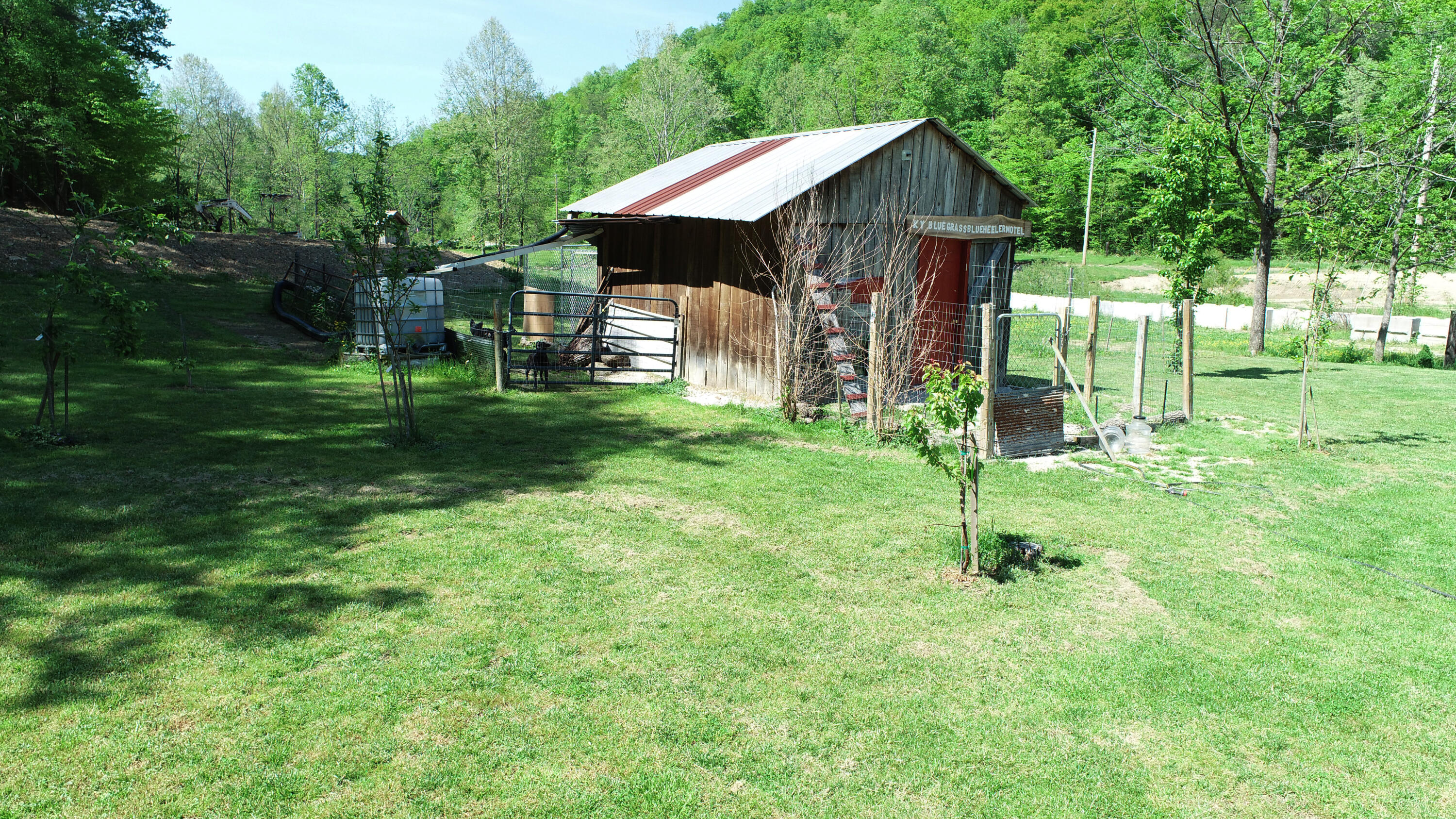 3425 Fitchburg Road Ravenna, KY 40472 - Photo 48 of 76 Dog kennel!