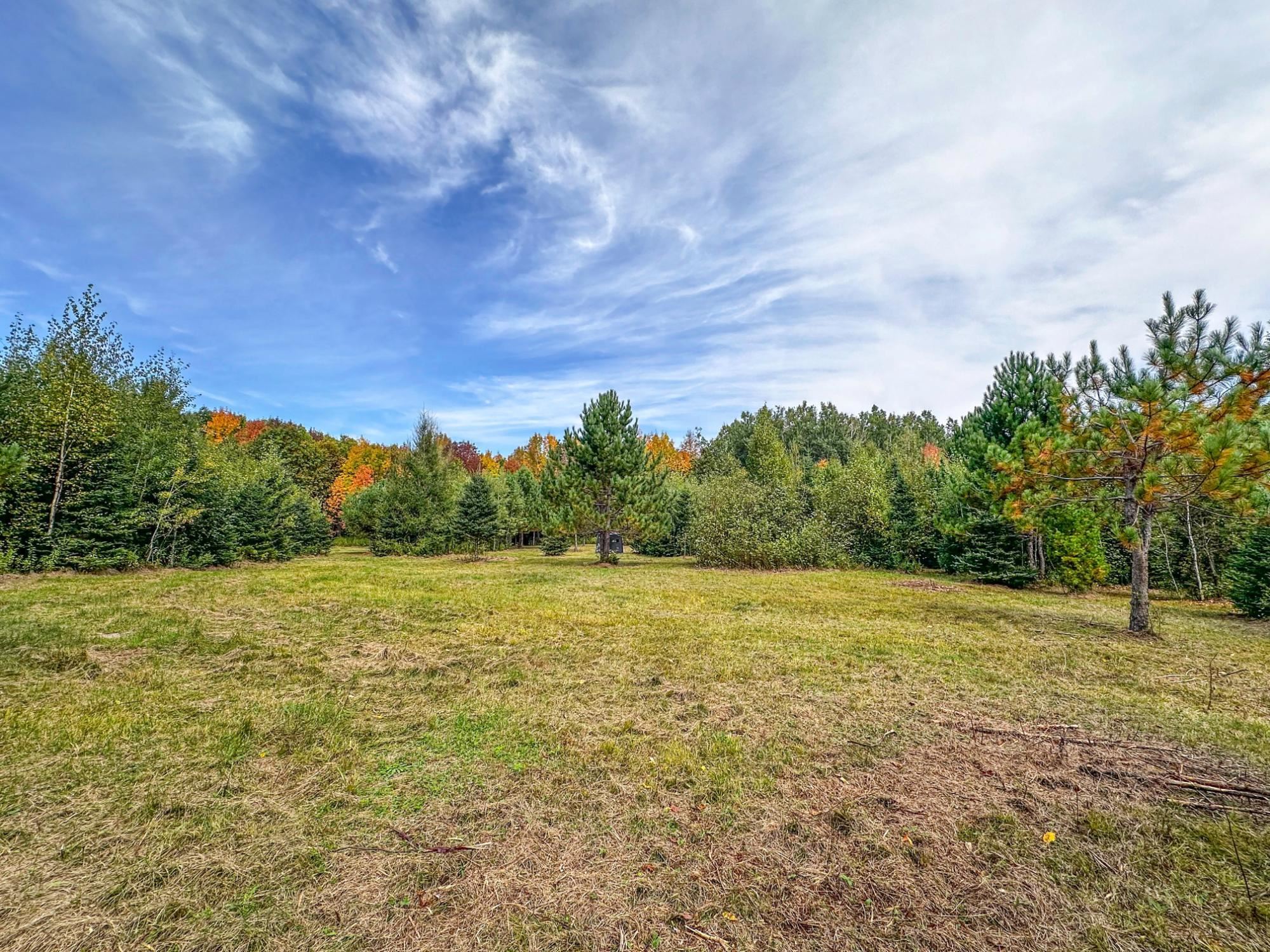 72281 Hennes Road Glidden, WI 54527 - Photo 6 of 50