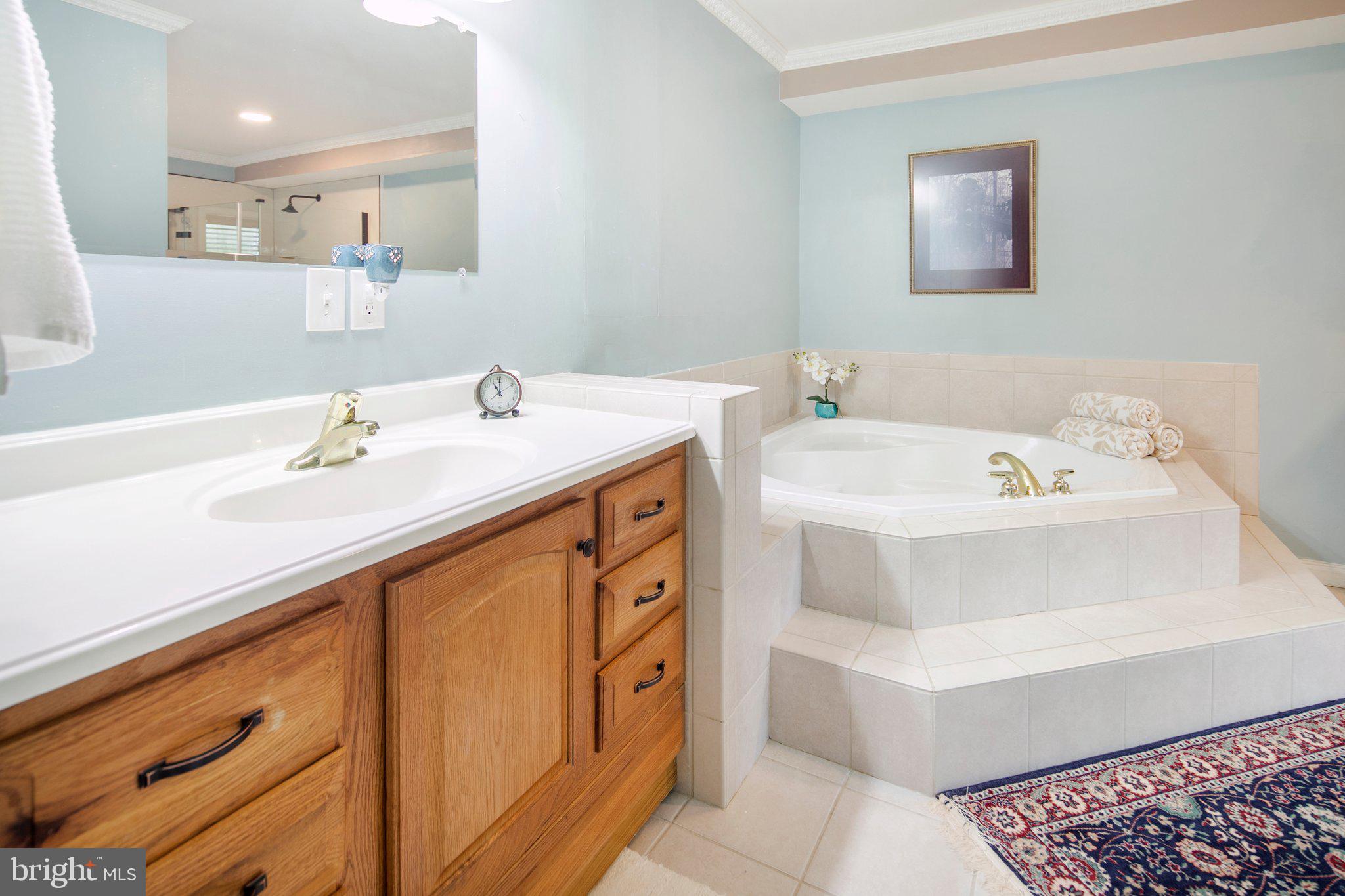 10314 Putman Road Frederick, MD 21702 - Photo 15 of 28 En-Suite Bath on Main