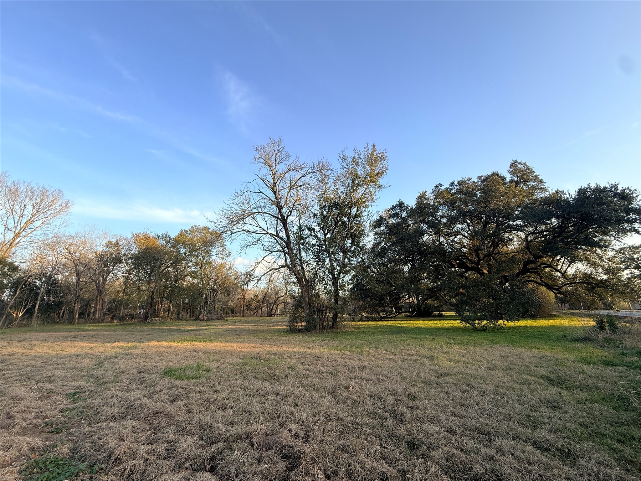 416 North Tinsley Street Angleton, TX 77515 - Photo 8 of 11