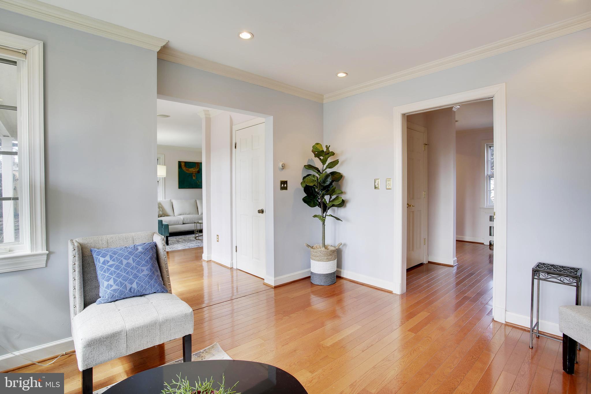 4664 Reservoir Road Northwest Washington, DC 20007 - Photo 27 of 60 a living room with furniture and a potted plant