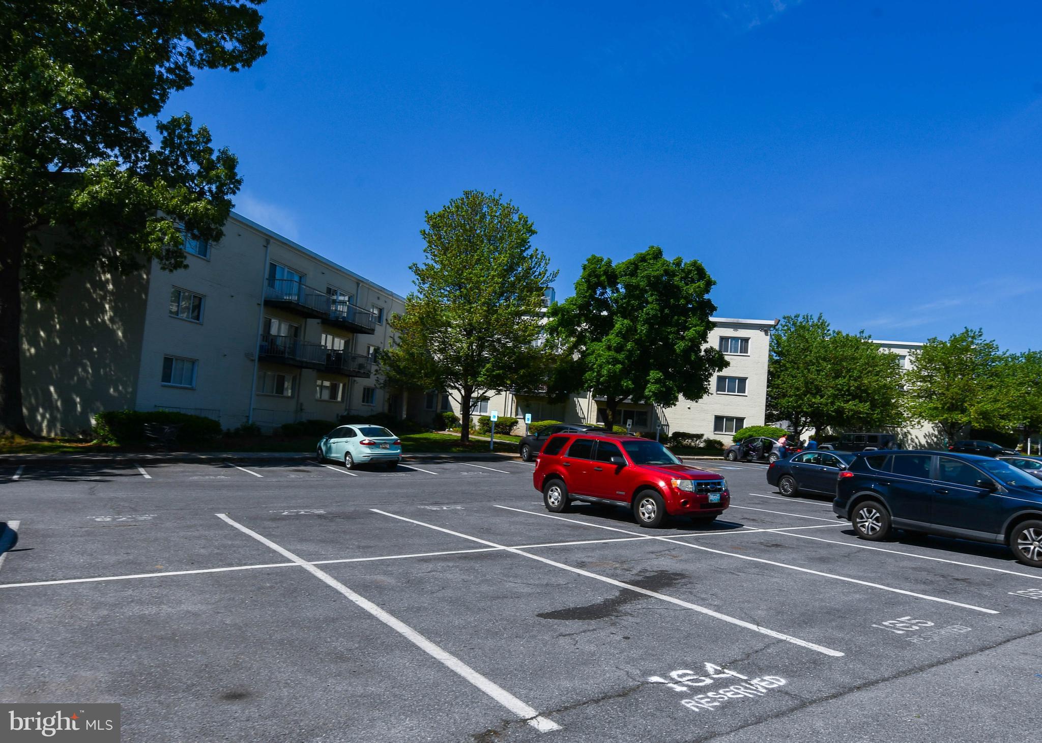 1009 Chillum Road, Unit 104 Hyattsville, MD 20782 - Photo 4 of 33