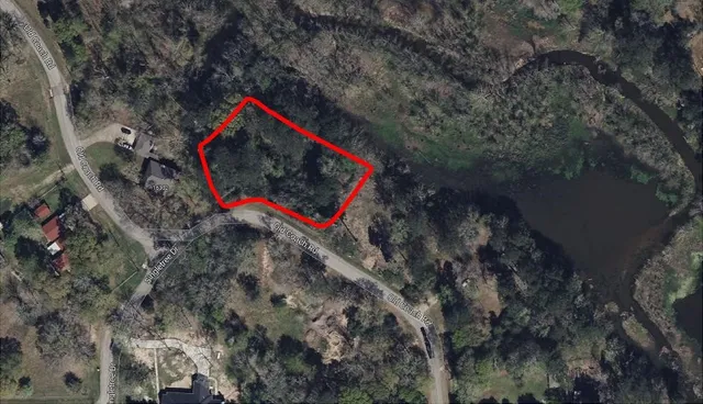 a flag is sitting in the middle of a forest