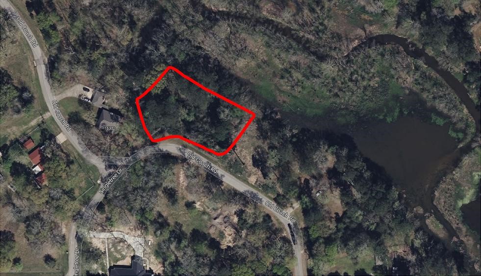 a flag is sitting in the middle of a forest