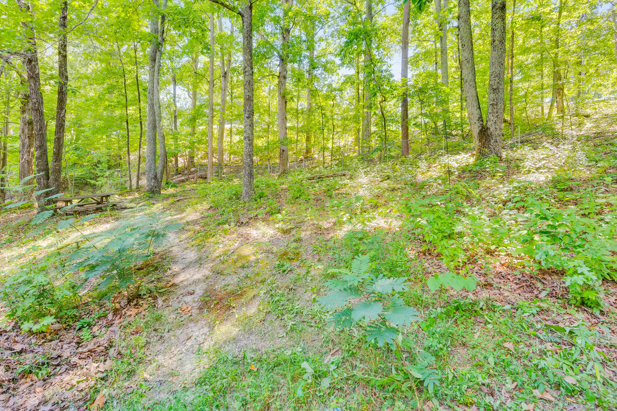 3950 Garretts Chapel Road Chickamauga, GA 30707 - Photo 25 of 30 3950-Garretts-Chapel-Rd-MLS-Photos-5