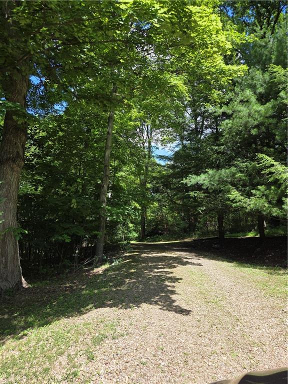163 Noll Road Georgetown, PA 15043 - Photo 35 of 47