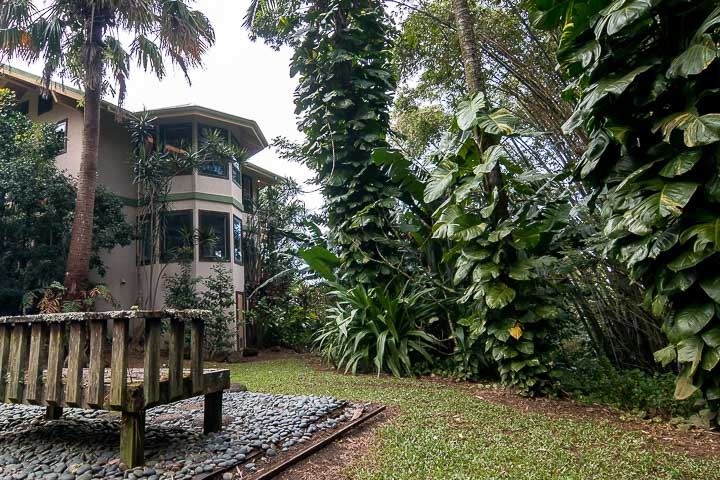 47 Door Of Faith Road Haiku, HI 96708 - Photo 28 of 30 a view of a yard with plants and trees
