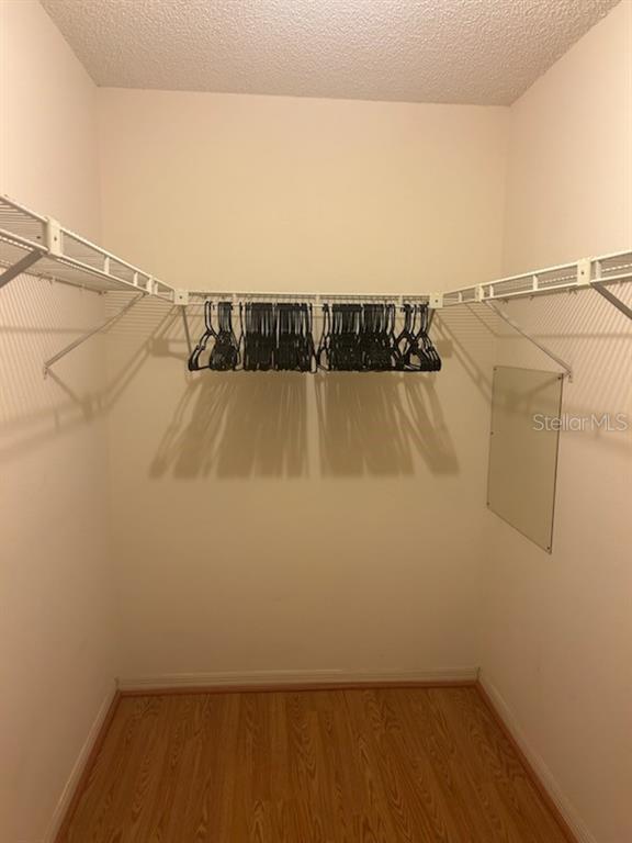 6932 Stonesthrow Circle North, Unit 7204 St. Petersburg, FL 33710 - Photo 17 of 27 a view of walk in closet