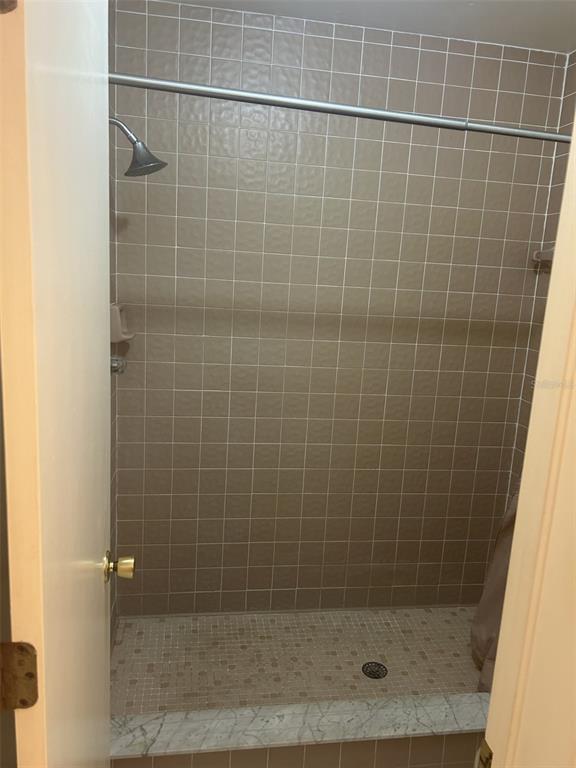 6932 Stonesthrow Circle North, Unit 7204 St. Petersburg, FL 33710 - Photo 18 of 27 a bathroom with a shower