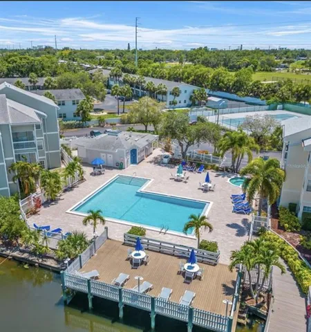 a picture of flowers