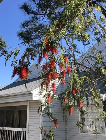 $1,950 | 6932 Stonesthrow Circle North, Unit 7204, St. Petersburg, FL 33710