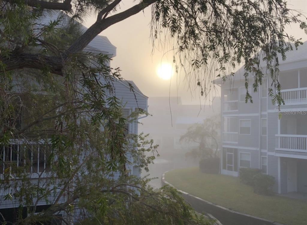 6932 Stonesthrow Circle North, Unit 7204 St. Petersburg, FL 33710 - Photo 27 of 27