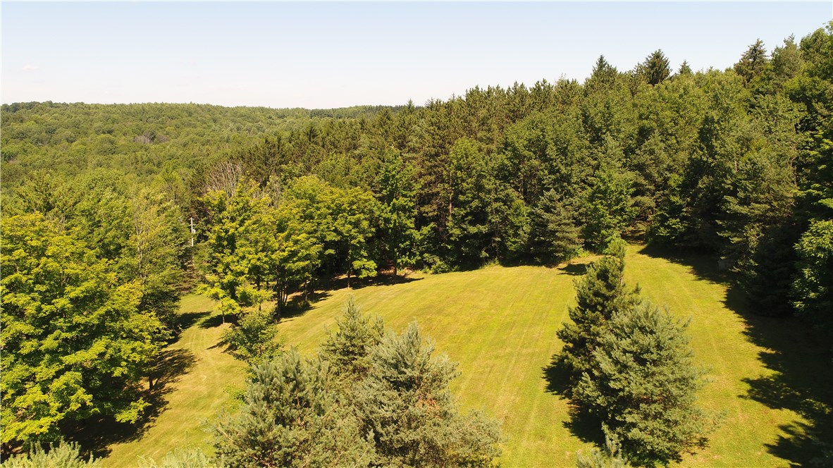 0 Schwingle Road Prattsburgh, NY 14873 - Photo 1 of 1