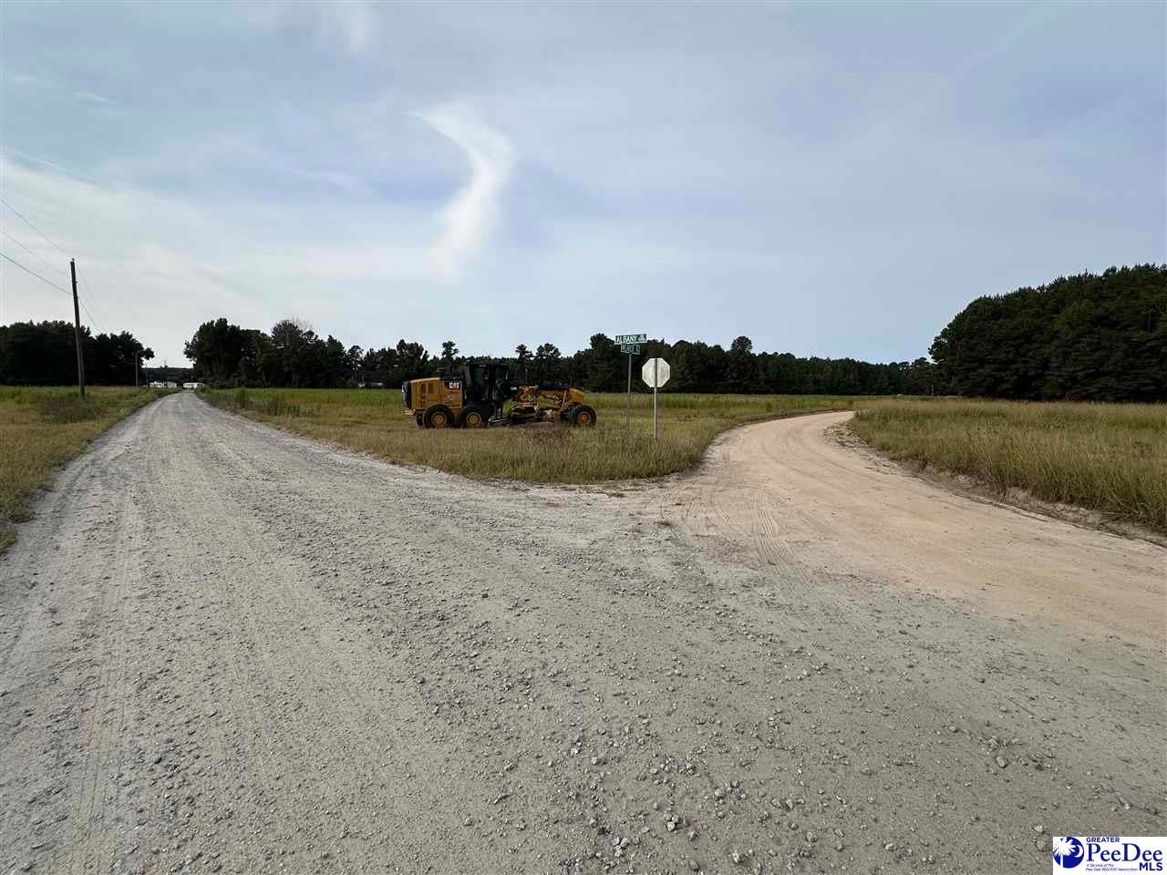 75-acres North Old Georgetown Road Coward, SC 29530 - Photo 19 of 27 Gallery Image 19
