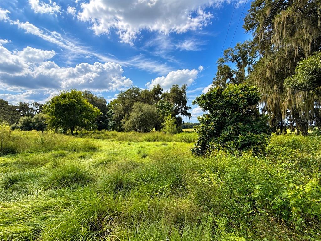 26143 Lambeth Road Brooksville, FL 34601 - Photo 60 of 61 Gallery Image 60