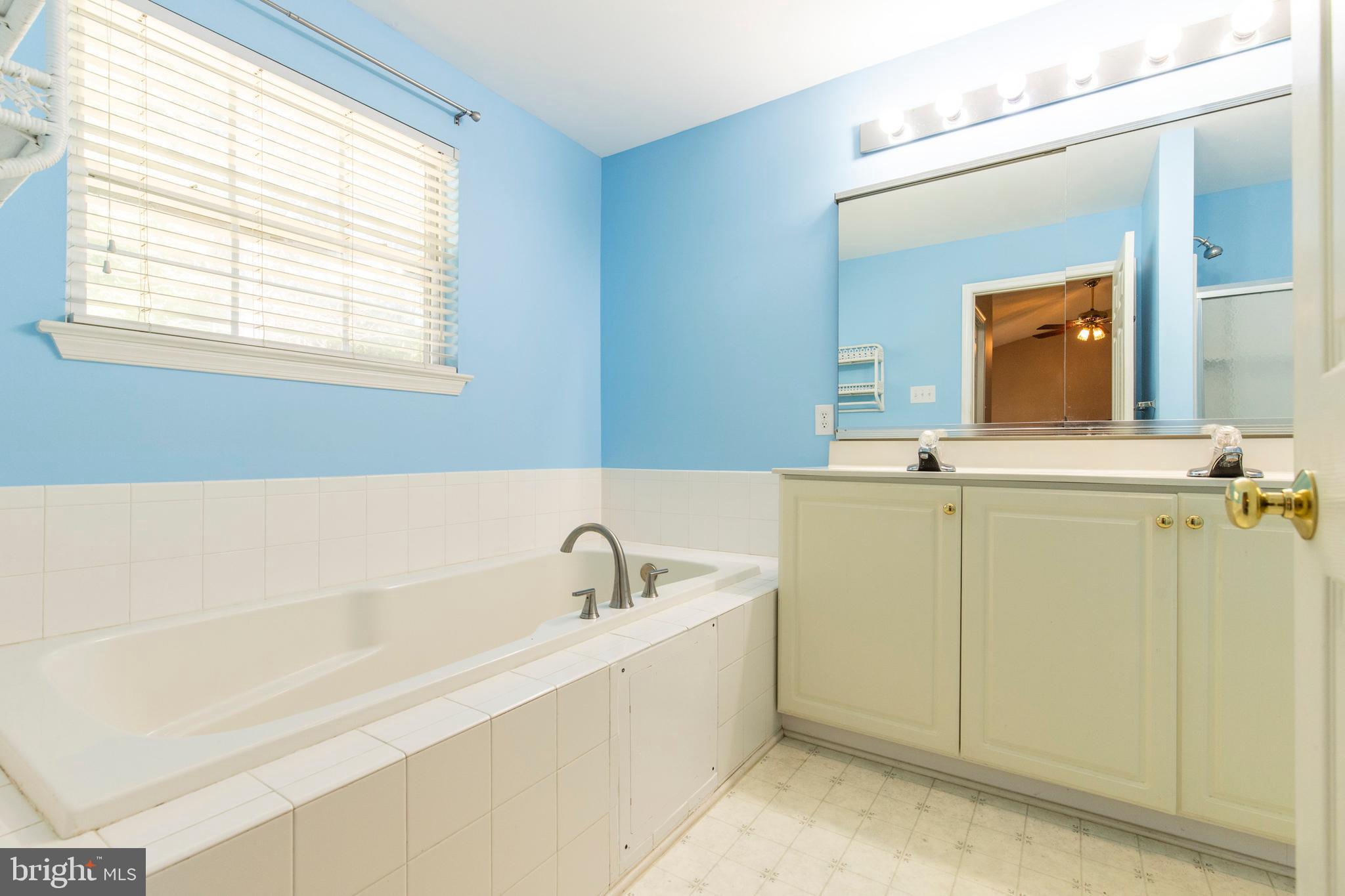 157 Milbury Road Coatesville, PA 19320 - Photo 17 of 32 Master Bathroom with large soaking tub