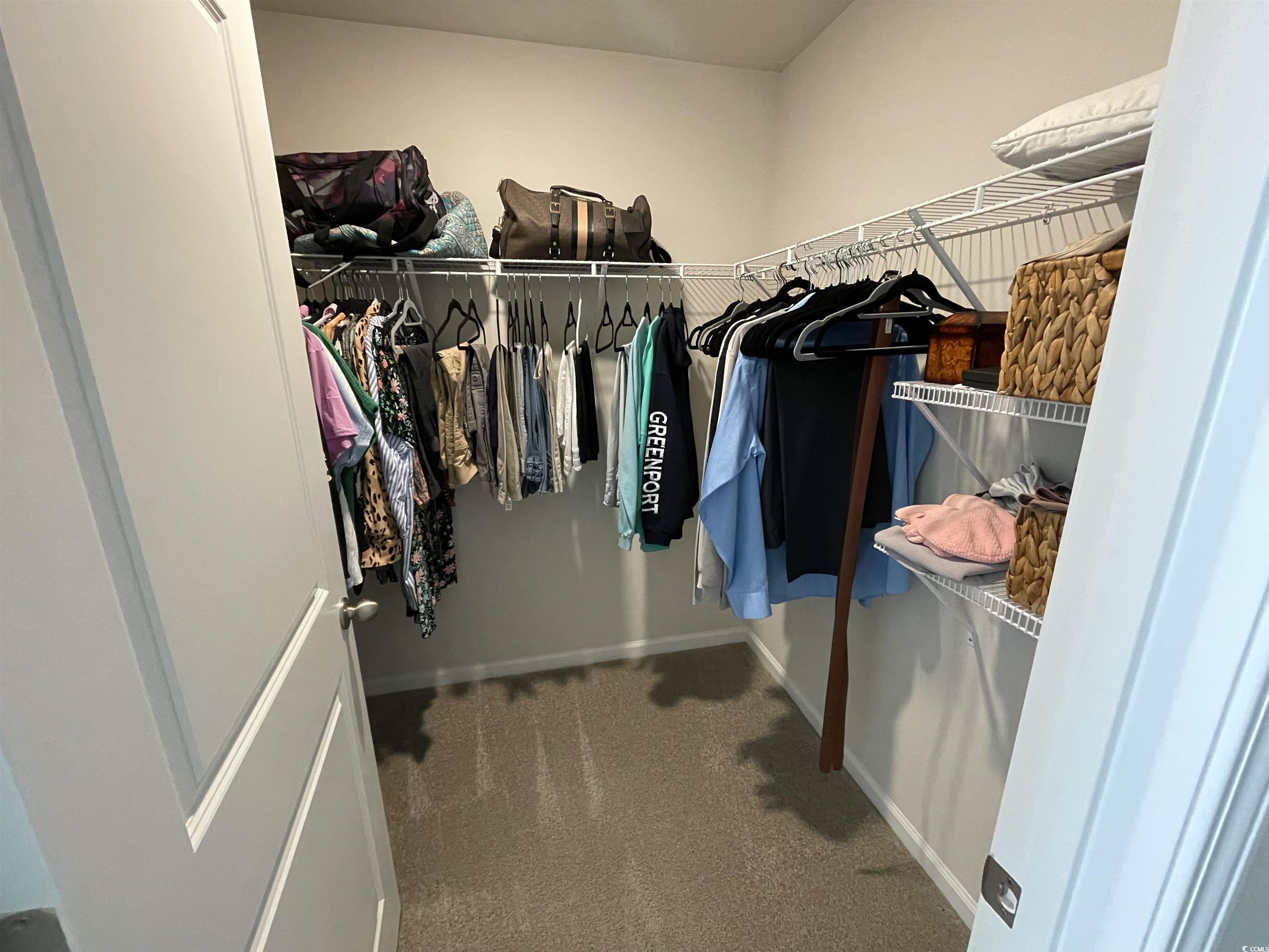 351 Jeff Waters Circle Longs, SC 29568 - Photo 16 of 33 Spacious closet featuring light carpet