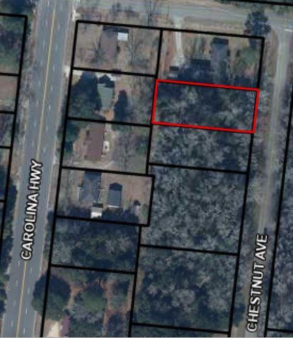 0 Chestnut Avenue Denmark, SC 29042 - Photo 1 of 1 0 Chestnut Ave