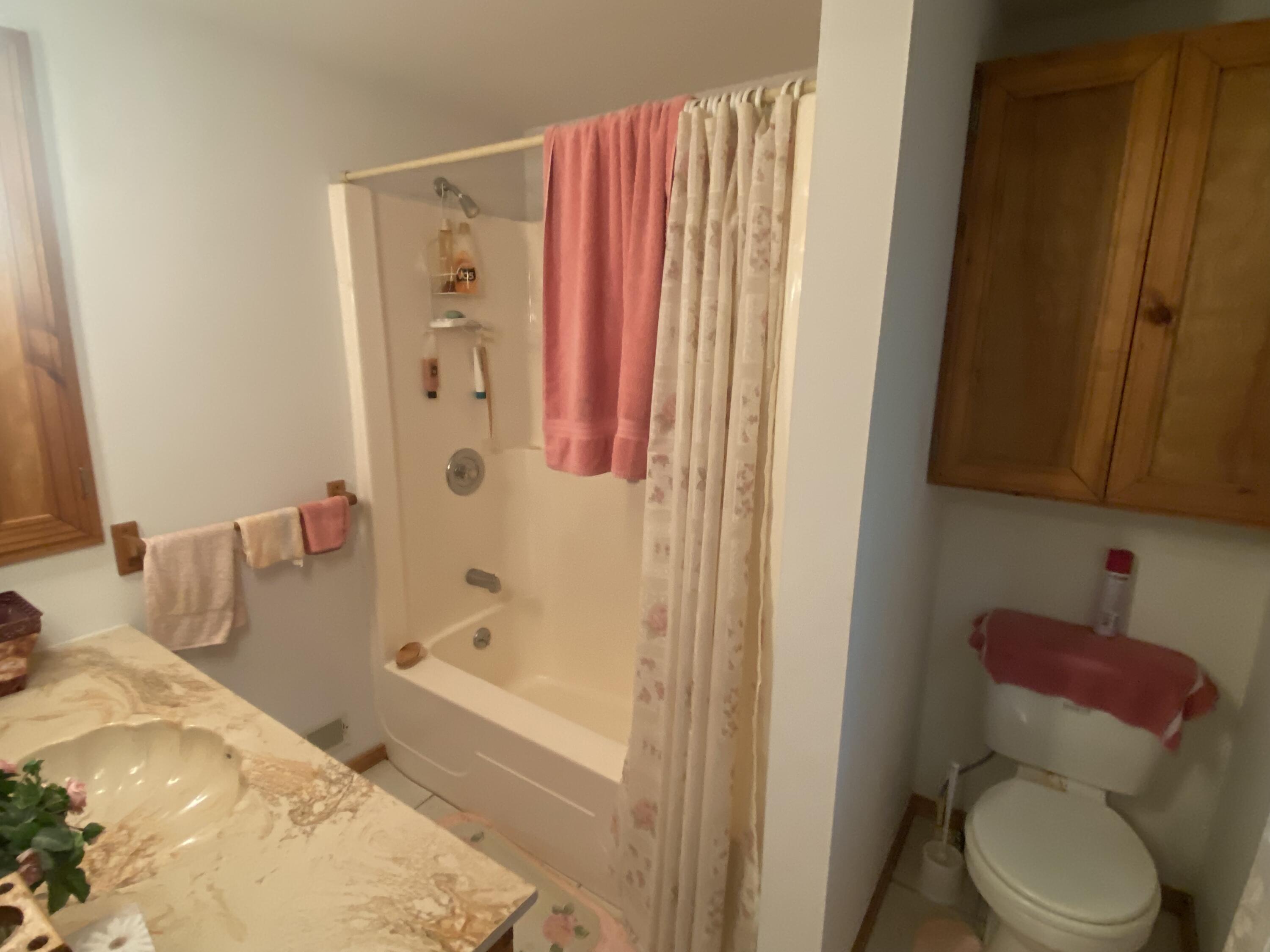 7 East Piney Road Manistee, MI 49660 - Photo 10 of 12 Upstairs full bath