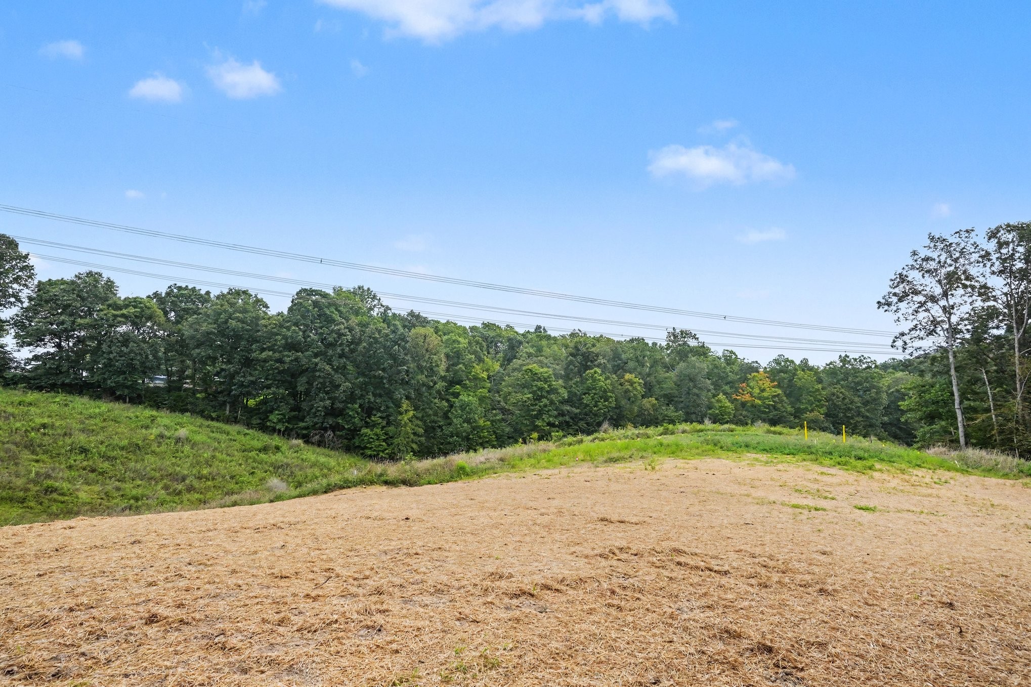 888 Pack Road White Bluff, TN 37187 - Photo 22 of 24 Gallery Image 22