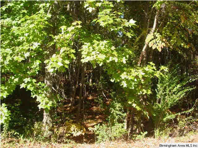 Old Choccolocco Road, Unit 73 Anniston, AL 36207 - Photo 9 of 30