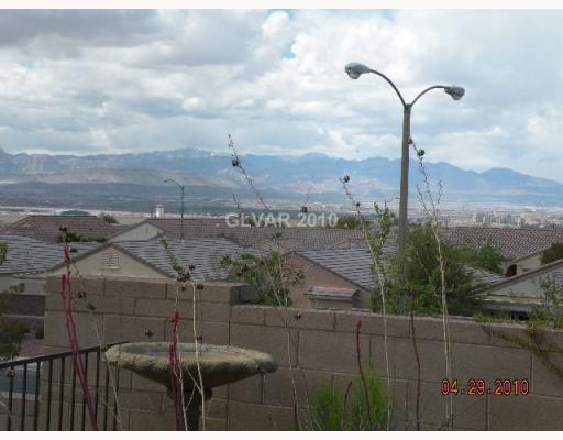 View. Rhe whole city