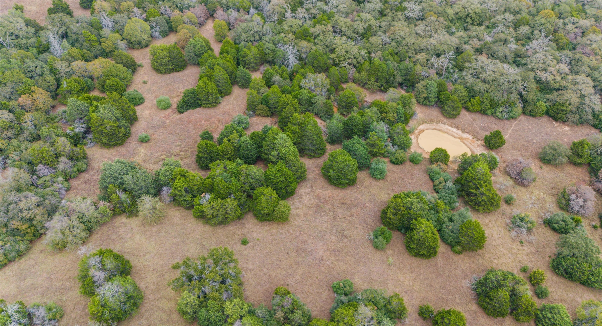 Tbd North County Road East, Unit 415 Lexington, TX 78947 - Photo 11 of 14