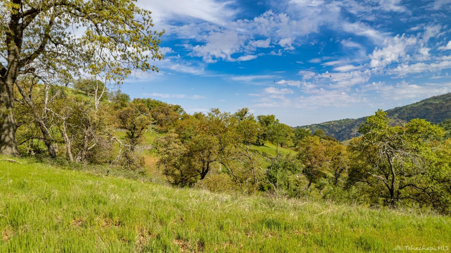 0 Timberline Way Tehachapi, CA 93561 - Photo 2 of 15 Gallery Image 2
