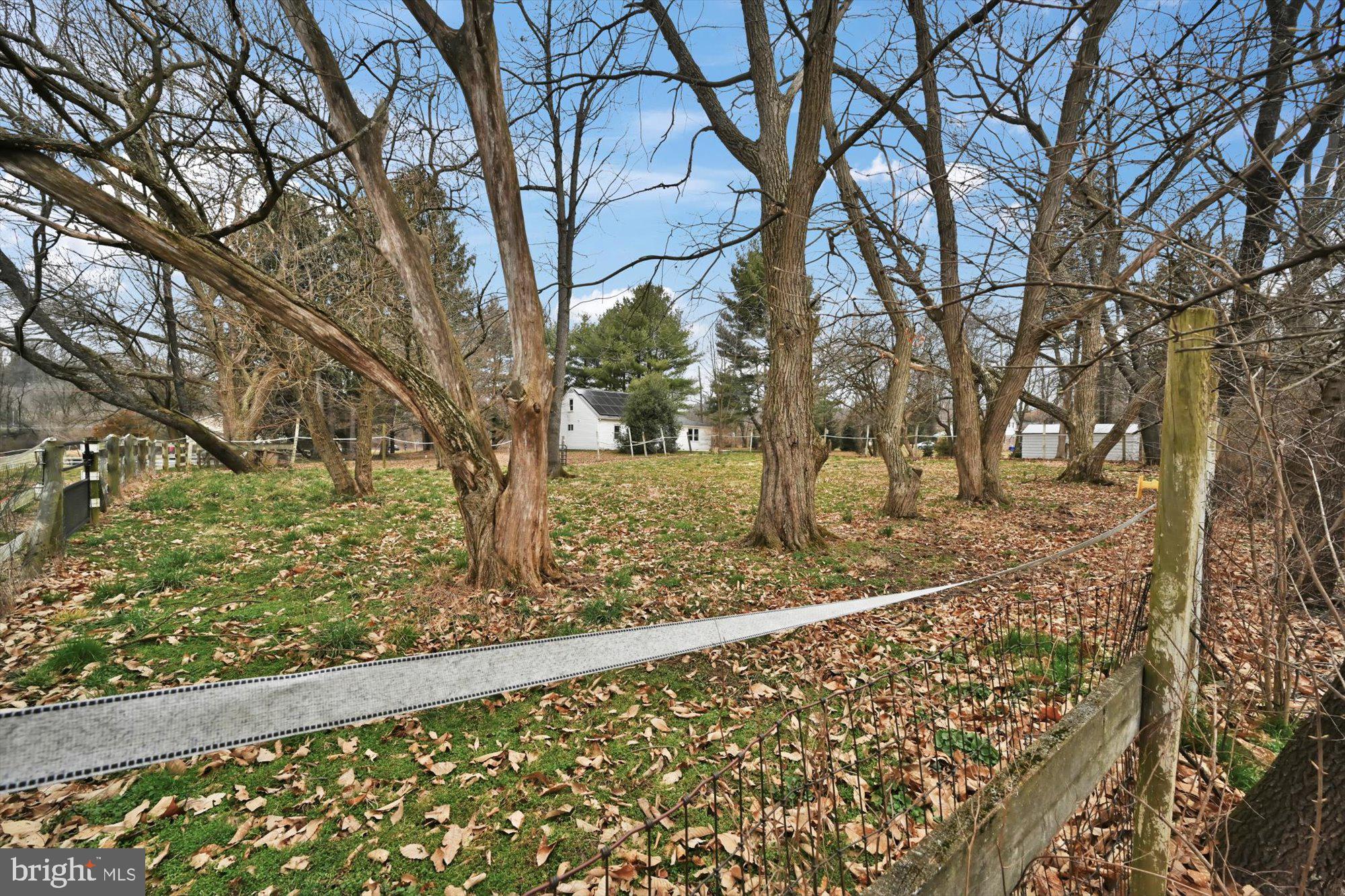 1130 Van Reed Road Reading, PA 19605 - Photo 31 of 39 a view of a yard with plants and large trees