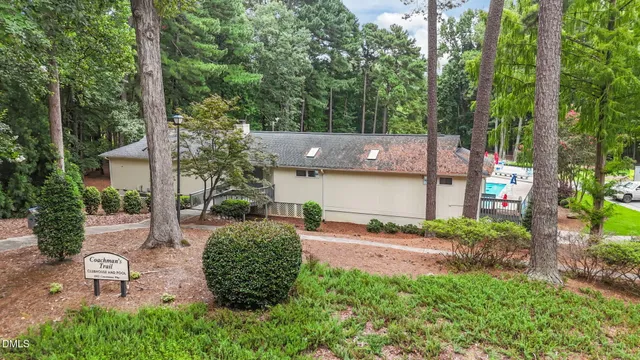 an aerial view of forest