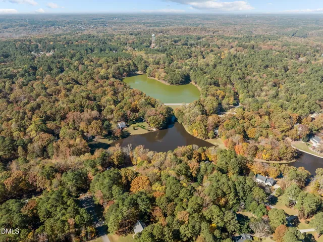 a view of a tree with a yard