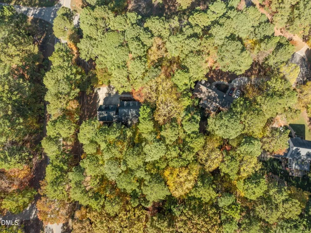 a view of dirt yard with large trees