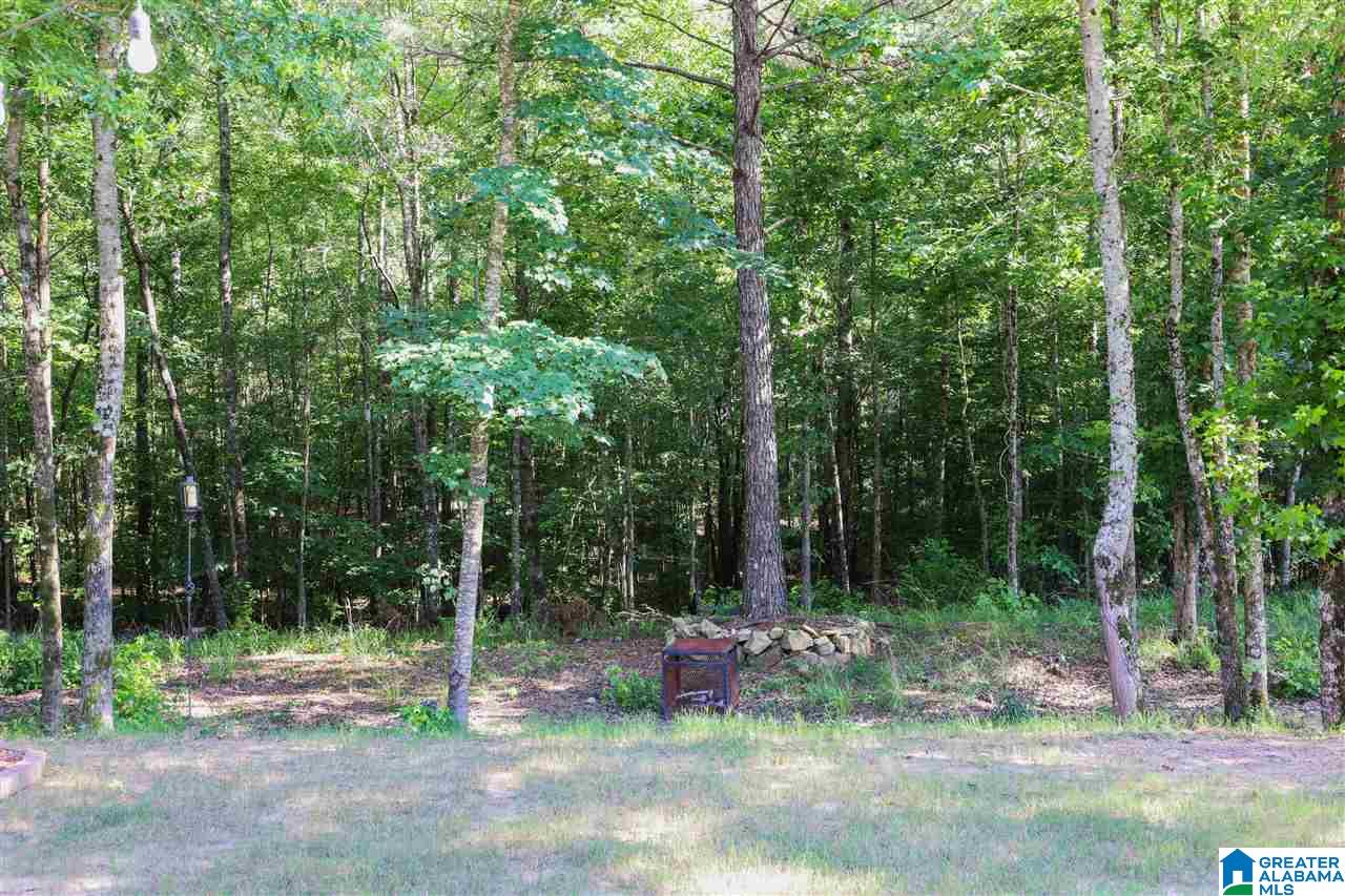 421 Ballantrae Road Pelham, AL 35124 - Photo 19 of 36 Gallery Image 19