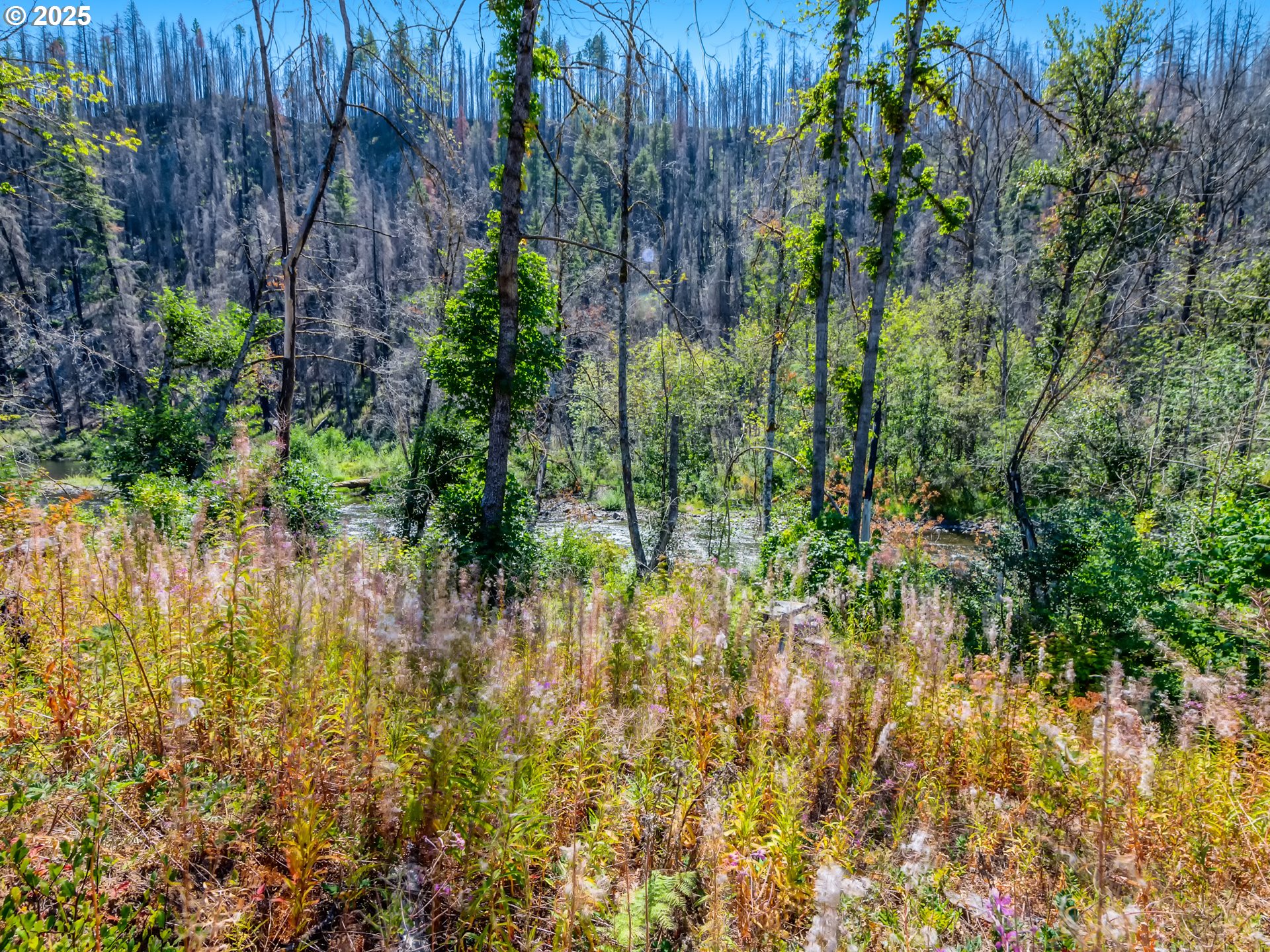 49280 McKenzie Highway Vida, OR 97488 - Photo 13 of 21 a view of garden