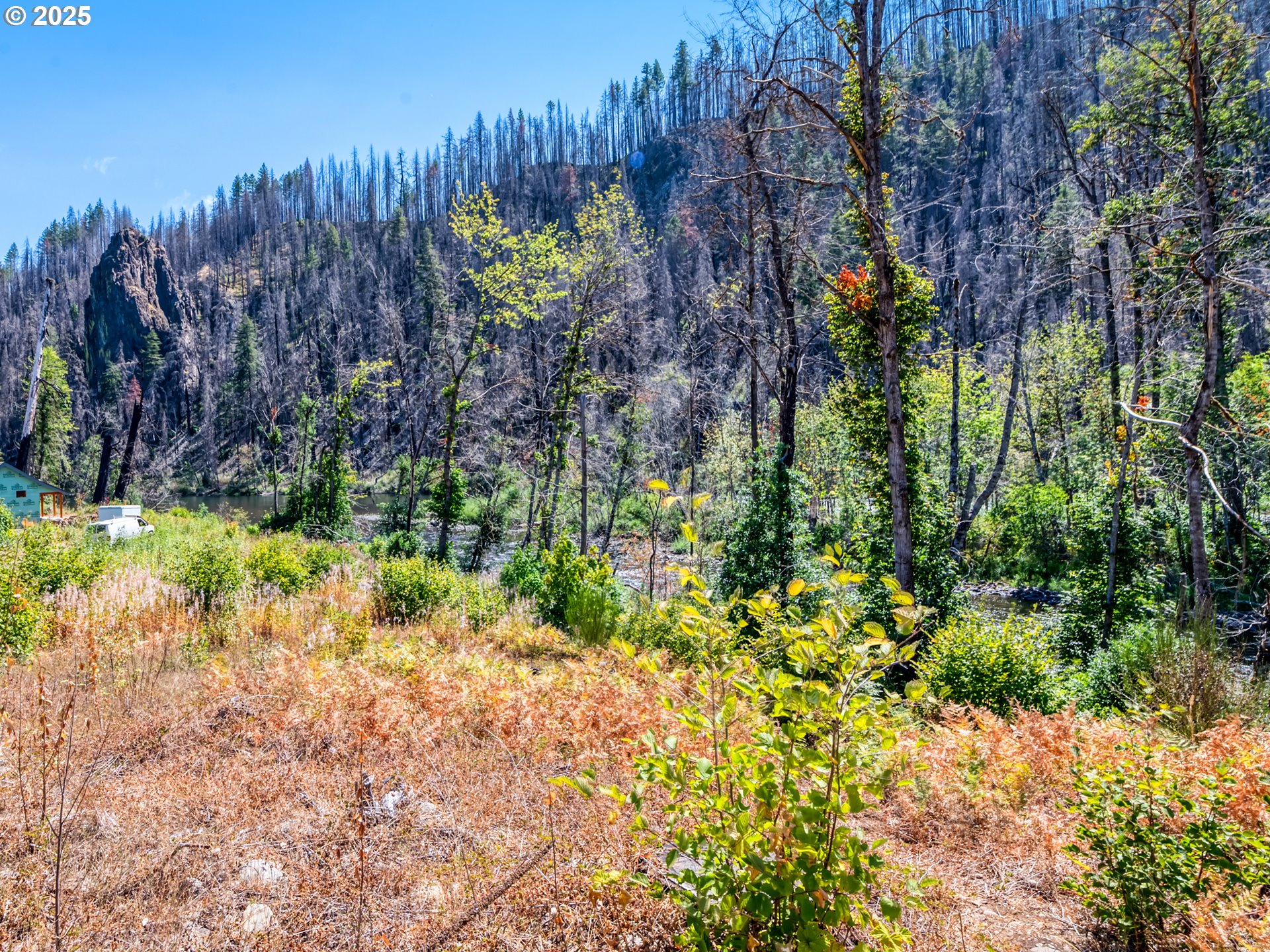 49280 McKenzie Highway Vida, OR 97488 - Photo 15 of 21 a view of a garden with a fountain