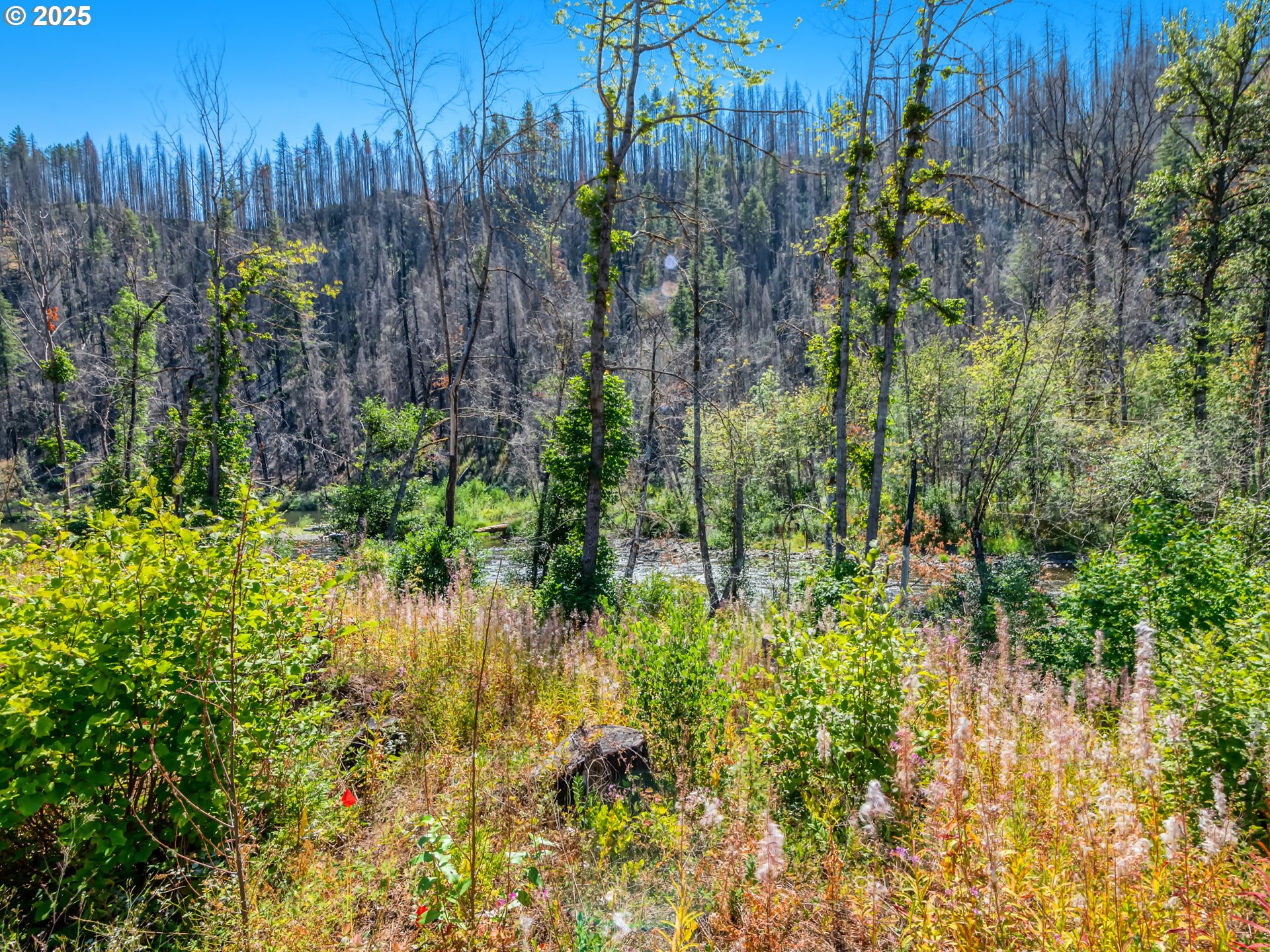 49280 McKenzie Highway Vida, OR 97488 - Photo 18 of 21 a view of a garden with a building