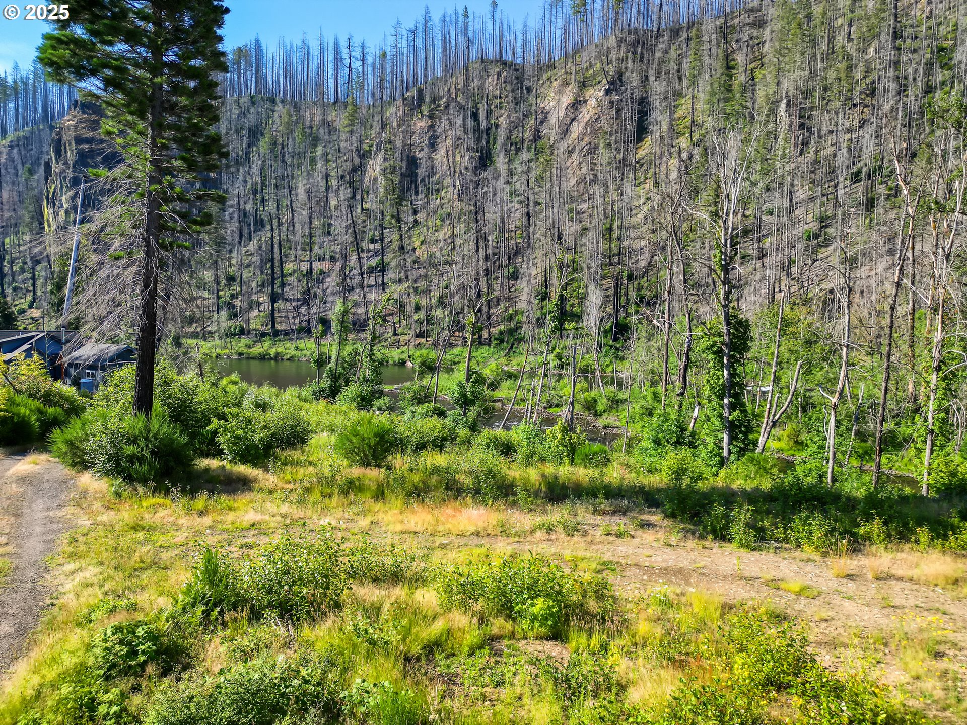 49280 McKenzie Highway Vida, OR 97488 - Photo 4 of 21 a view of garden