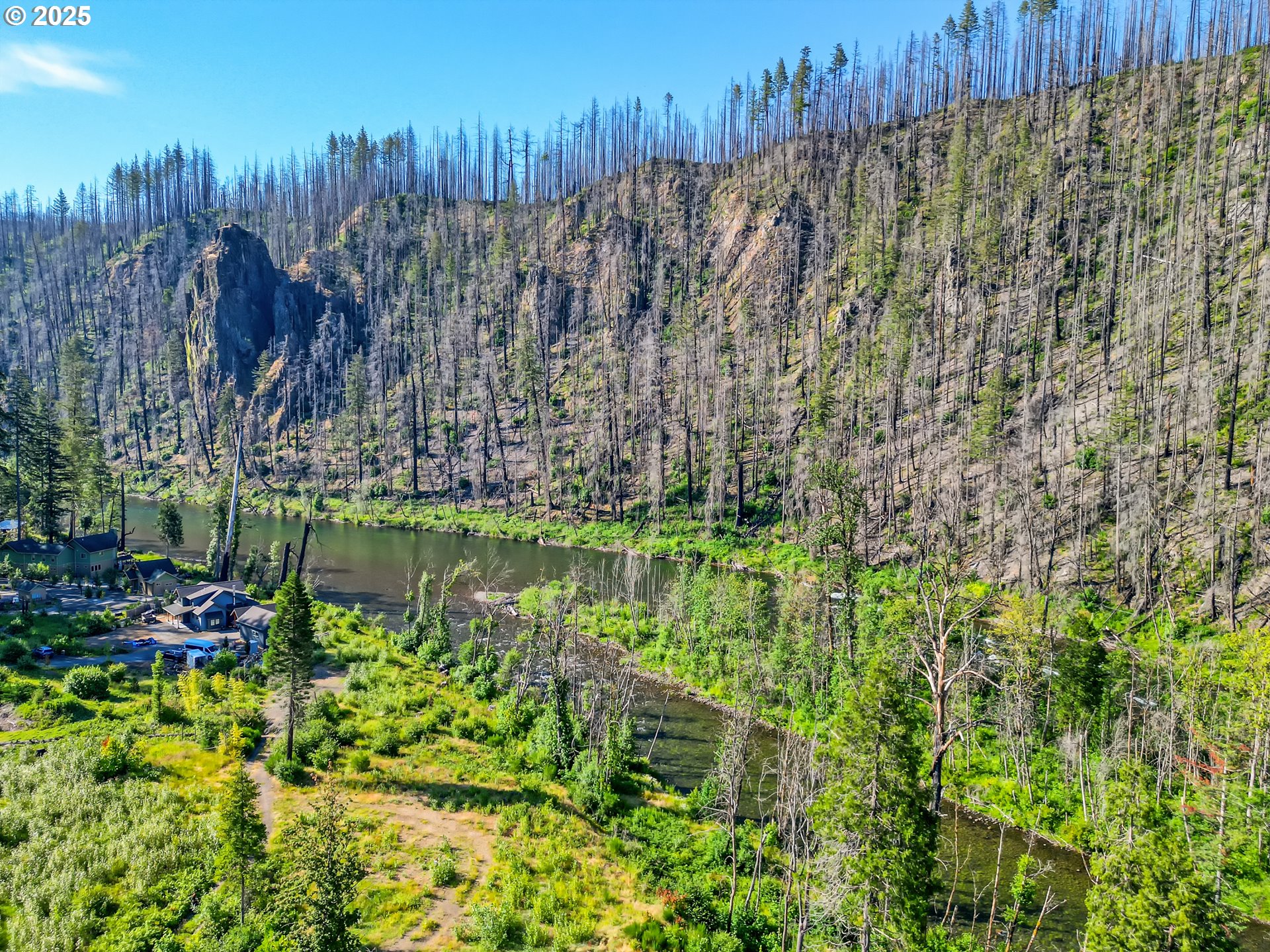 49280 McKenzie Highway Vida, OR 97488 - Photo 7 of 21 a view of a garden with a bench