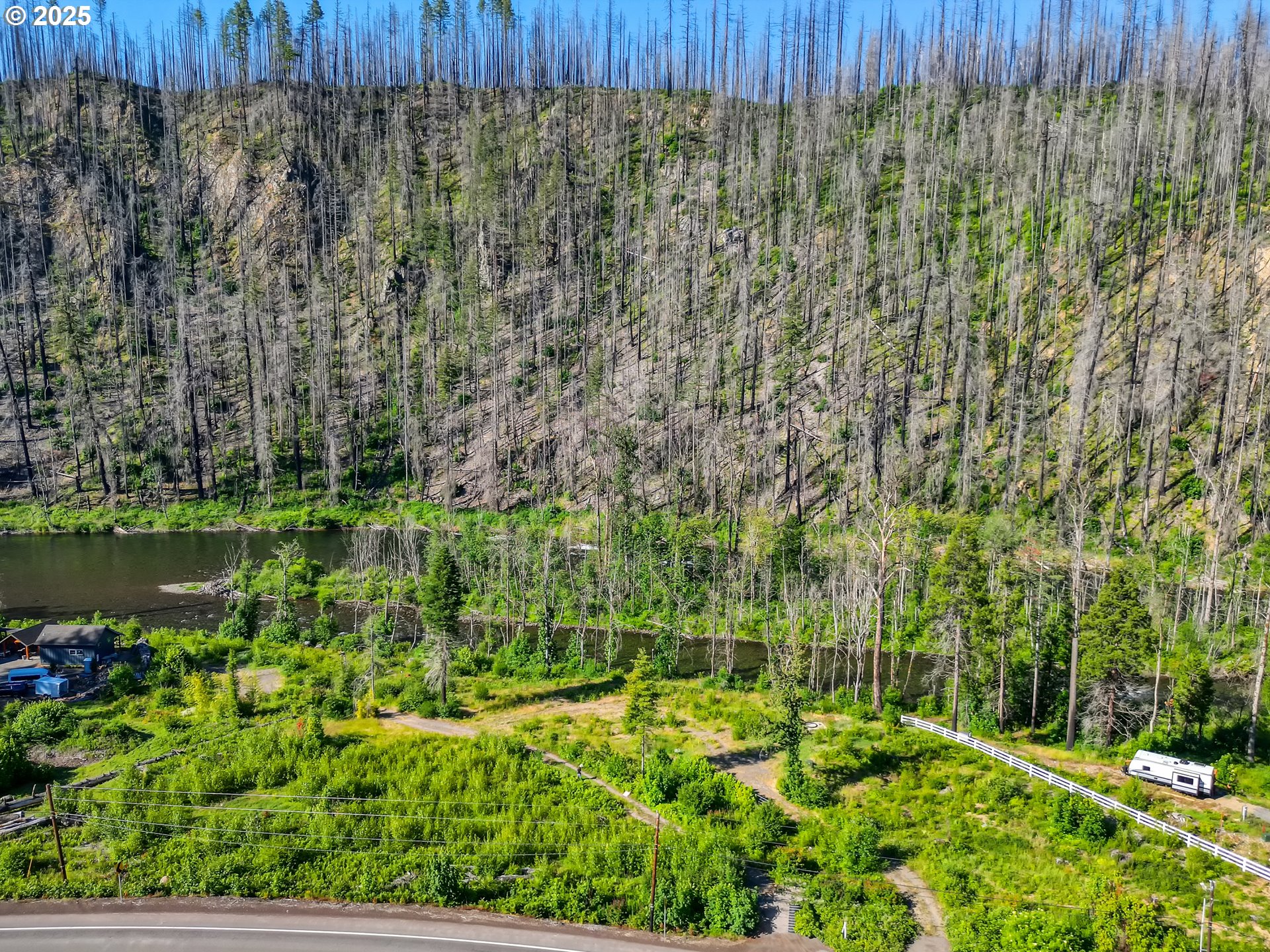 49280 McKenzie Highway Vida, OR 97488 - Photo 8 of 21 a view of yard with green space and bench
