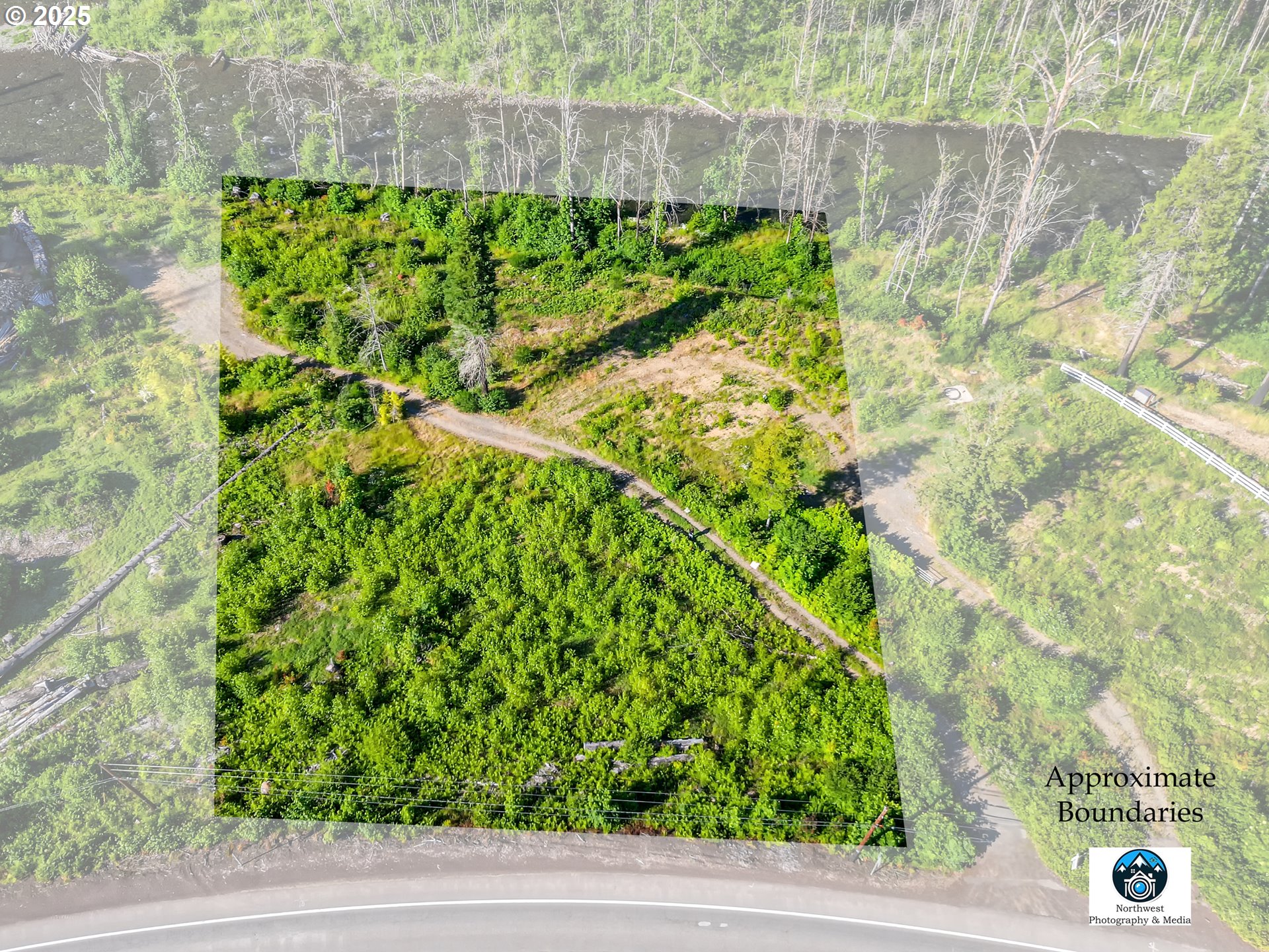 49280 McKenzie Highway Vida, OR 97488 - Photo 10 of 21 a view of a garden with plants