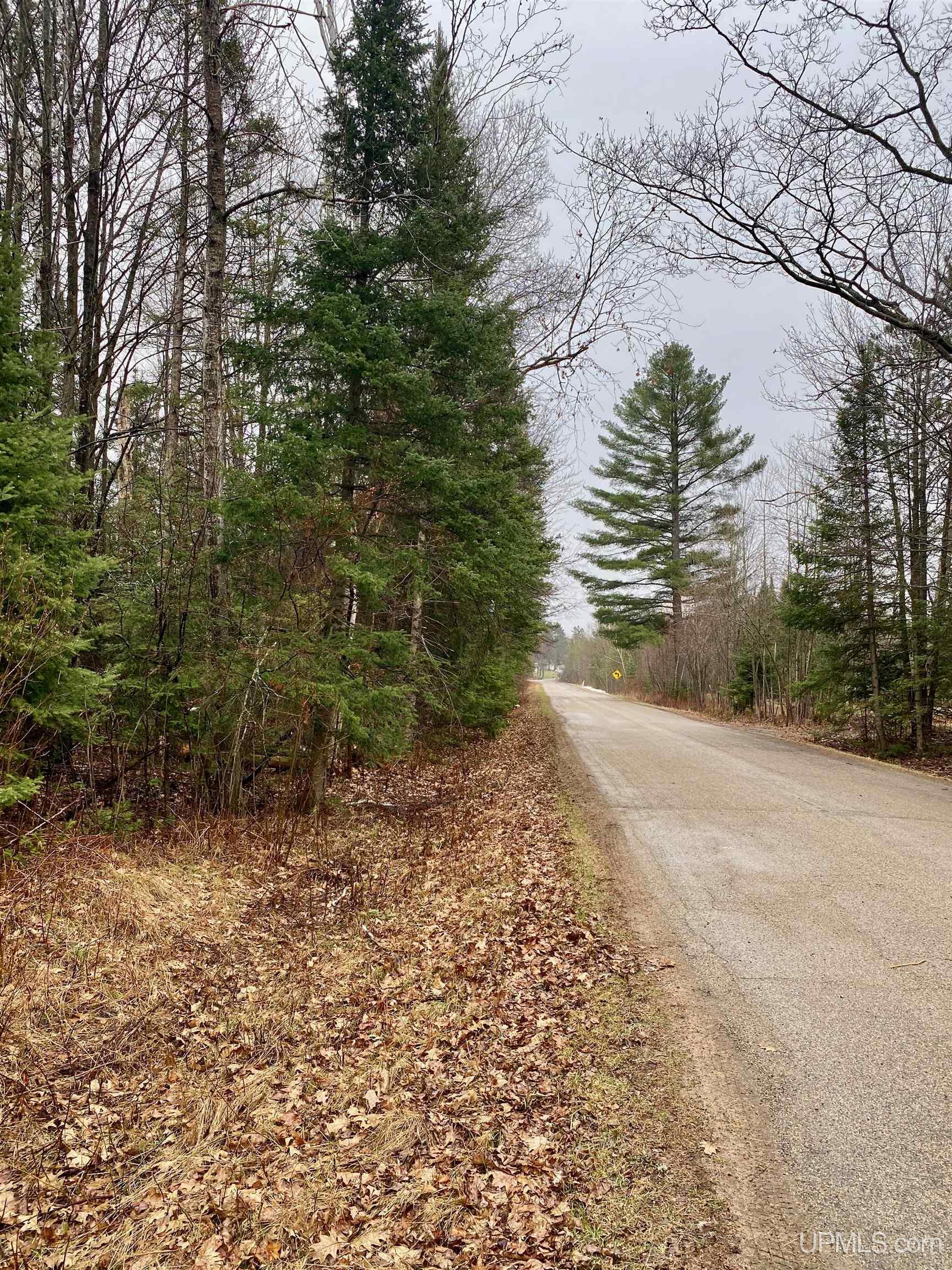 T-wi Wi 54121 Road Florence, WI 54121 - Photo 19 of 20 Gallery Image 19
